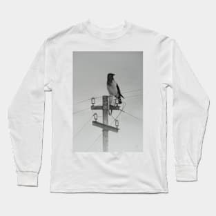 Hooded crow Long Sleeve T-Shirt